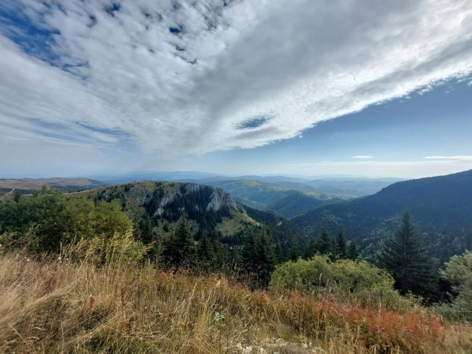 Apartment Maja Konaci Kopaonik Zewnętrze zdjęcie