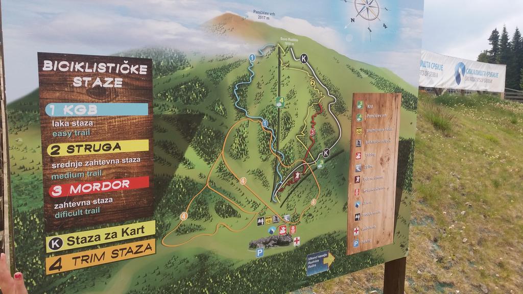 Apartment Maja Konaci Kopaonik Zewnętrze zdjęcie