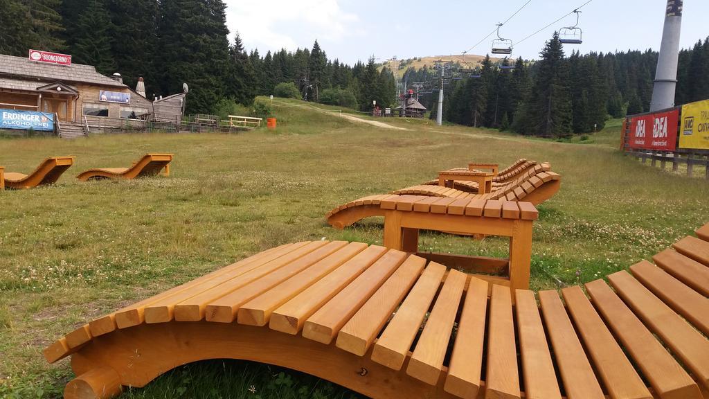 Apartment Maja Konaci Kopaonik Zewnętrze zdjęcie