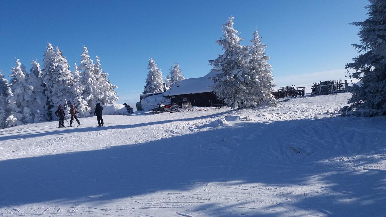 Apartment Maja Konaci Kopaonik Zewnętrze zdjęcie